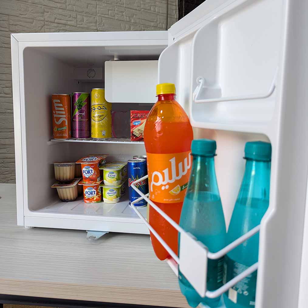 Mini Réfrigérateur RAYLAN MINI BAR 47L من أقوى الثلاجات الصغيرة في الجزائر